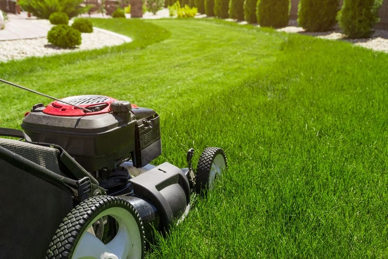 Garten- und Landschaftsbau, Außenanlagen – Hässler Renovierung